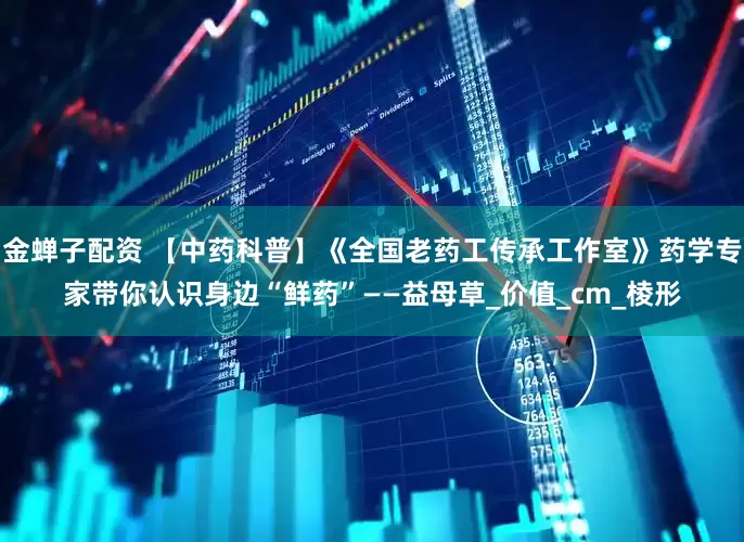 金蝉子配资 【中药科普】《全国老药工传承工作室》药学专家带你认识身边“鲜药”——益母草_价值_cm_棱形