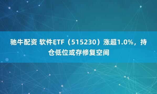 驰牛配资 软件ETF（515230）涨超1.0%，持仓低位或存修复空间