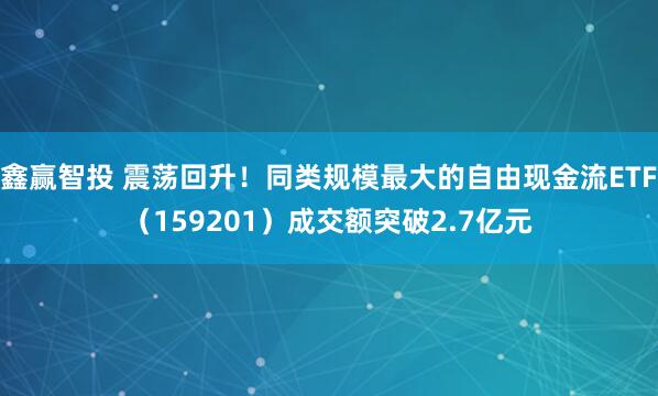 鑫赢智投 震荡回升！同类规模最大的自由现金流ETF（159201）成交额突破2.7亿元