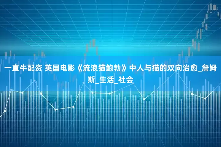一直牛配资 英国电影《流浪猫鲍勃》中人与猫的双向治愈_詹姆斯_生活_社会