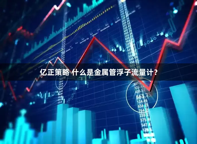 亿正策略 什么是金属管浮子流量计？